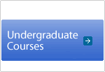 Undergraduate Courses