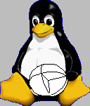 penguin cradling an ellipsoid